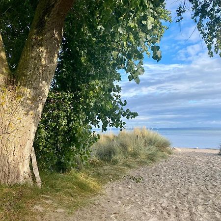 Feriendorf Suedstrand Haus 49 ペルツァーハケン エクステリア 写真